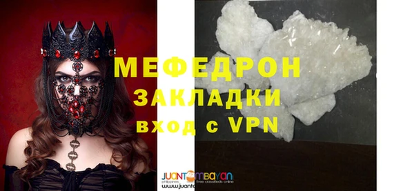 дживик Ельня