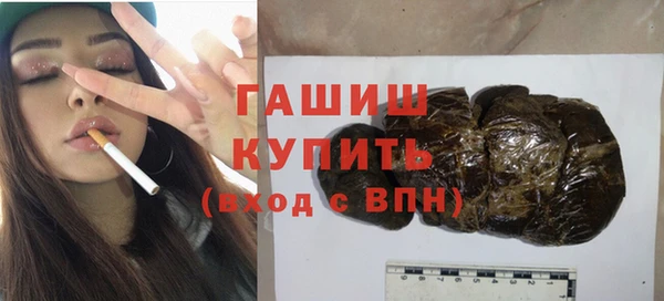 дживик Ельня