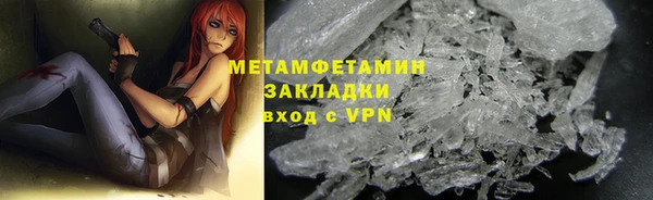 ПСИЛОЦИБИНОВЫЕ ГРИБЫ Дмитриев