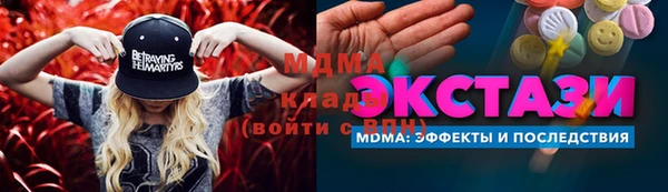 ПСИЛОЦИБИНОВЫЕ ГРИБЫ Дмитриев