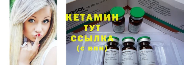 дживик Ельня