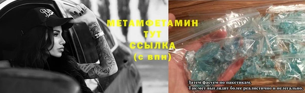 дживик Ельня