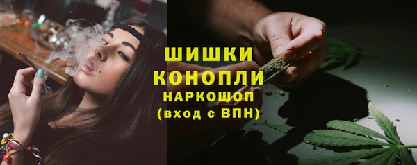 дживик Ельня