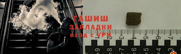 дживик Ельня