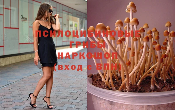 МДПВ Елабуга
