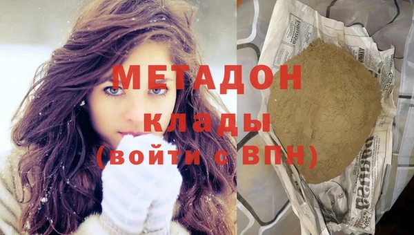 дживик Ельня