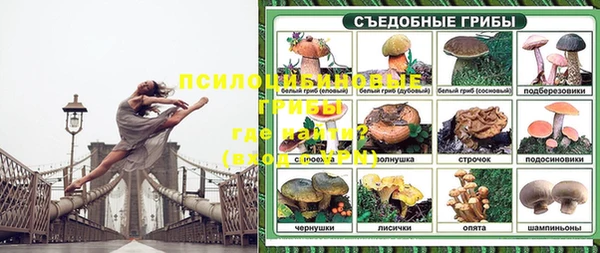 МДПВ Елабуга