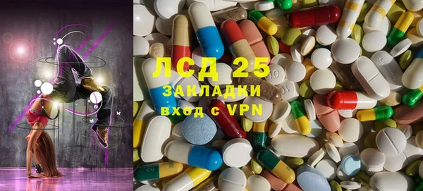 ПСИЛОЦИБИНОВЫЕ ГРИБЫ Дмитриев