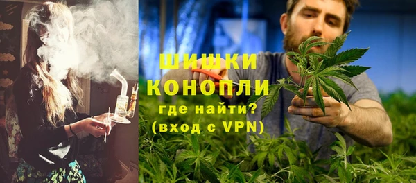 дживик Ельня
