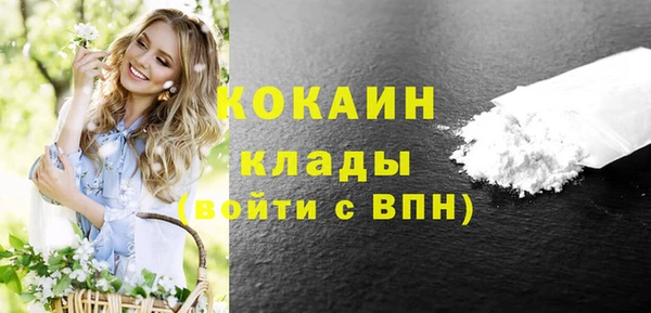 дживик Ельня