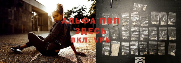 амф Дмитров