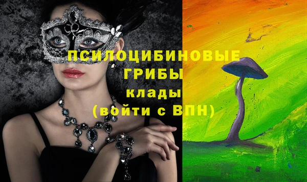 дживик Ельня