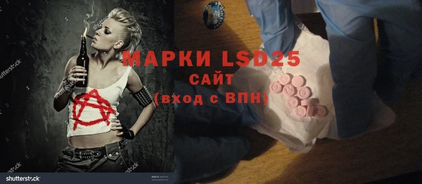 дживик Ельня